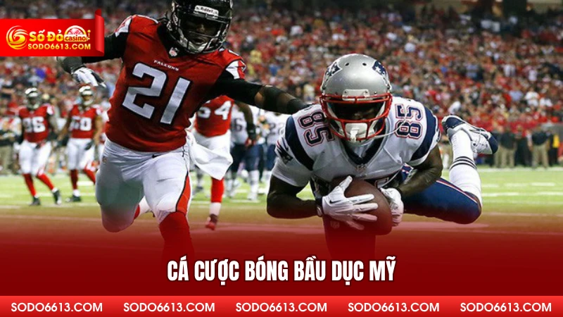 Cá cược bóng bầu dục Mỹ