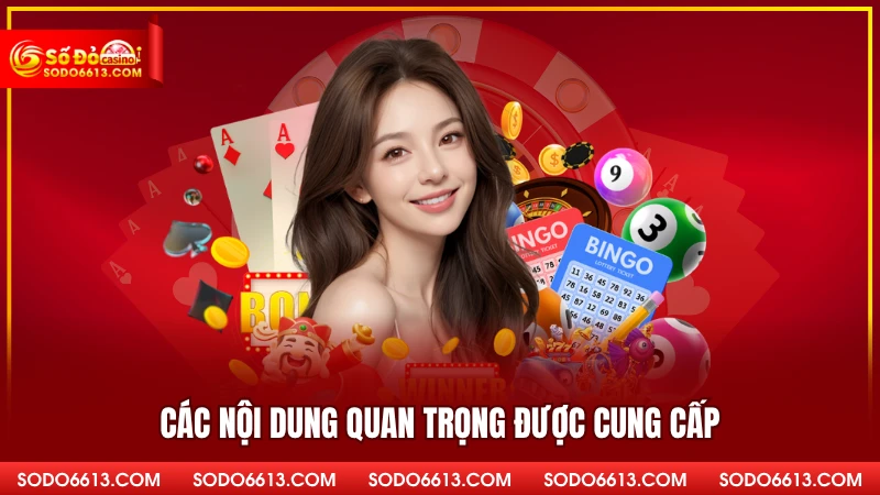 Các nội dung quan trọng được cung cấp