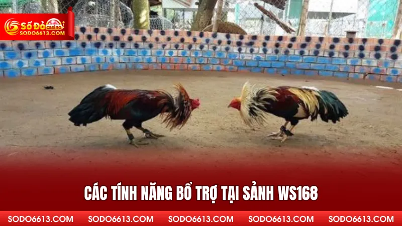 Các tính năng bổ trợ tại sảnh WS168