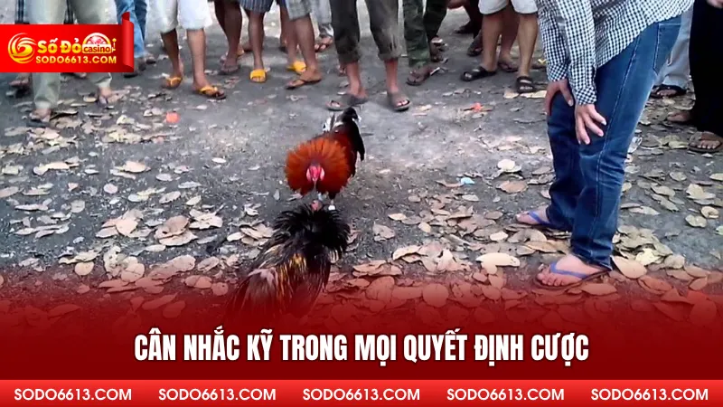 Cân nhắc kỹ trong mọi quyết định cược