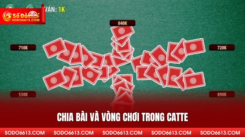 Chia bài và vòng chơi trong catte