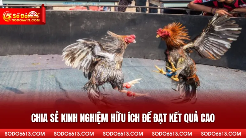 Chia sẻ kinh nghiệm hữu ích để đạt kết quả cao 