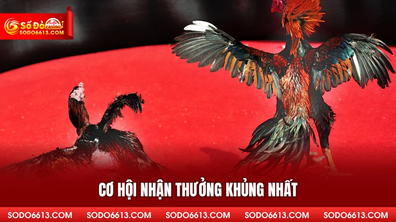 Cơ hội nhận thưởng khủng nhất