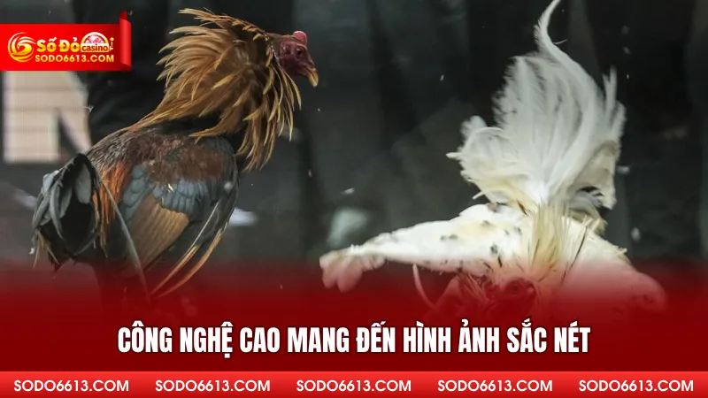 Công nghệ cao mang đến hình ảnh sắc nét
