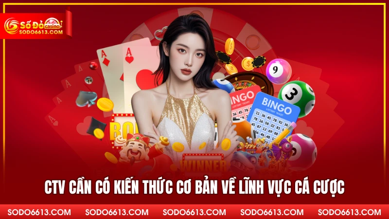 CTV cần có kiến thức cơ bản về lĩnh vực cá cược