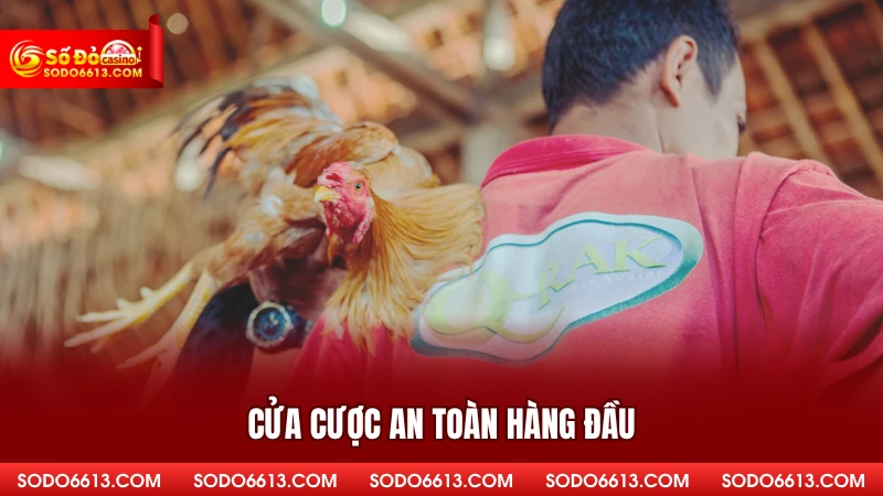 Cửa cược an toàn hàng đầu