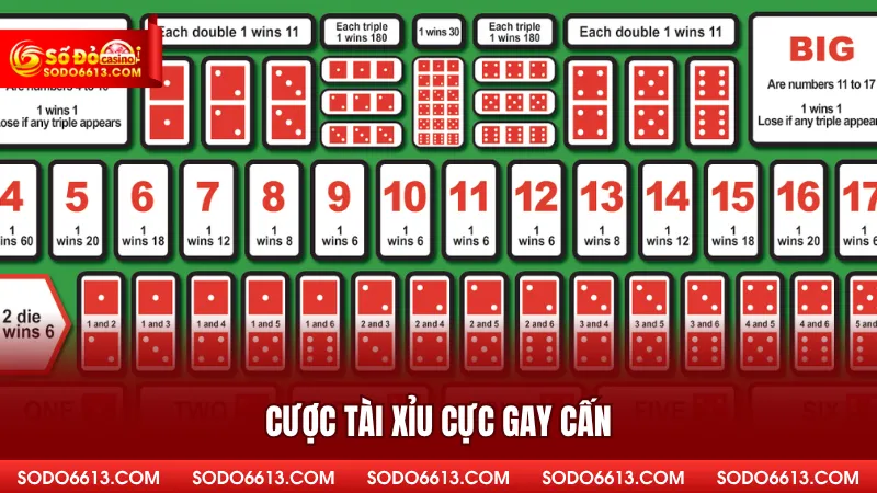 Cược tài xỉu cực gay cấn