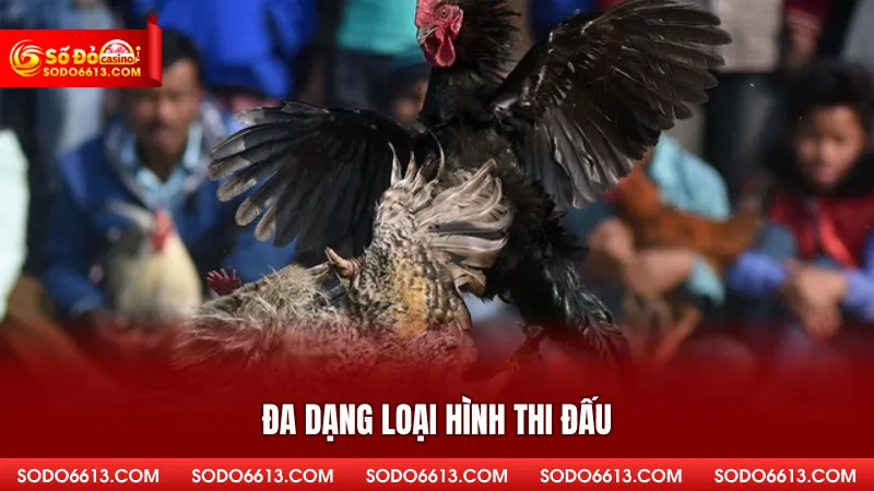 Đa dạng loại hình thi đấu