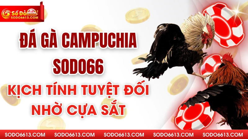 Đá Gà Campuchia Sodo66 – Sự Kịch Tính Tuyệt Đối Nhờ Cựa Sắt