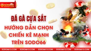 Đá Gà Cựa Sắt - Hướng Dẫn Chọn Chiến Kê Mạnh Trên Sodo66