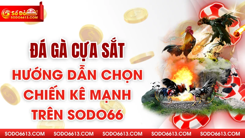 Đá Gà Cựa Sắt – Hướng Dẫn Chọn Chiến Kê Mạnh Trên Sodo66