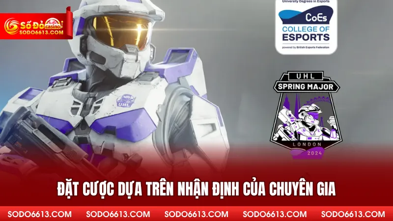 Đặt cược dựa trên nhận định của chuyên gia