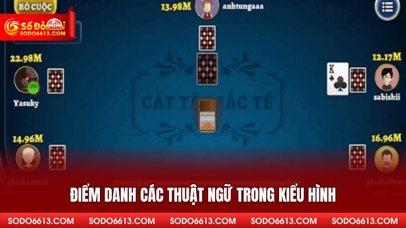 Điểm danh các thuật ngữ trong kiểu hình