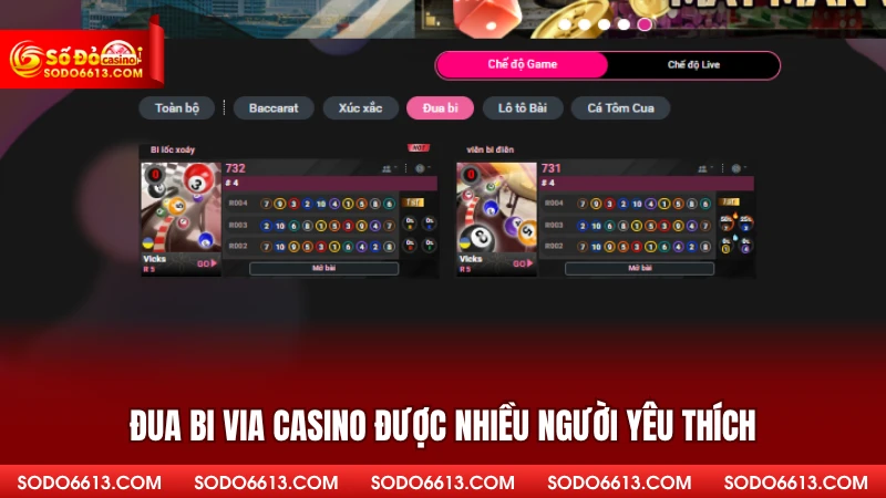 Đua bi Via Casino được nhiều người yêu thích