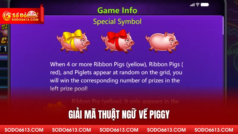 Giải mã thuật ngữ về Piggy