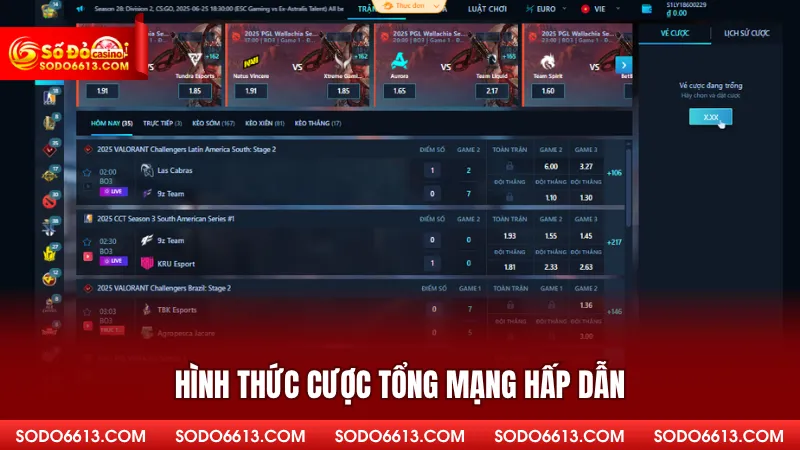 Hình thức cược tổng mạng hấp dẫn