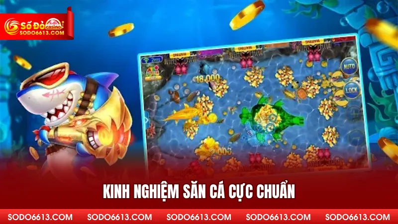 Kinh nghiệm săn cá cực chuẩn