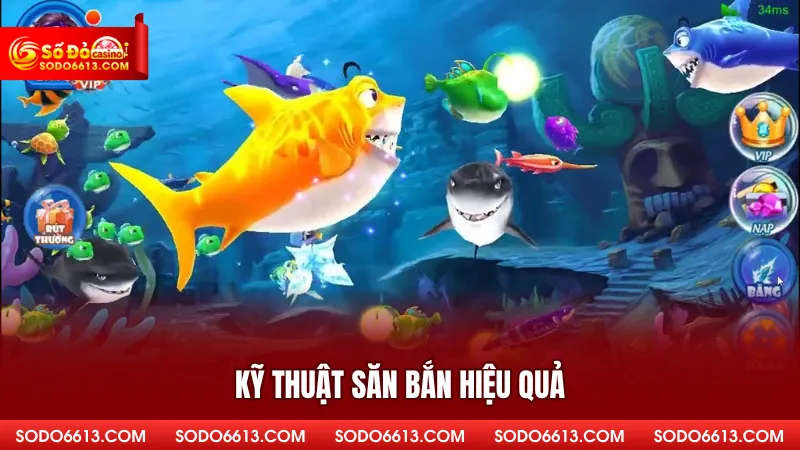 Kỹ thuật săn bắn hiệu quả
