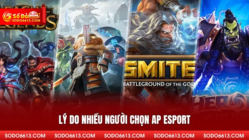 Lý do nhiều người chọn AP Esport