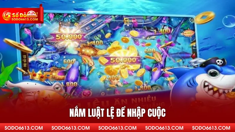 Nắm luật lệ để nhập cuộc