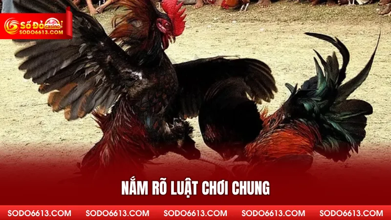 Nắm rõ luật chơi chung