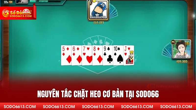 Nguyên tắc chặt heo cơ bản tại Sodo66