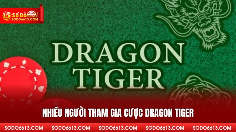 Nhiều người tham gia cược Dragon Tiger