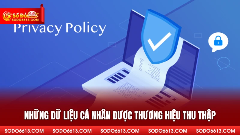 Những dữ liệu cá nhân được thương hiệu thu thập