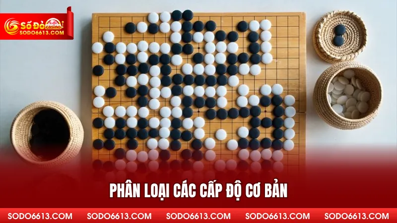 Phân loại các cấp độ cơ bản