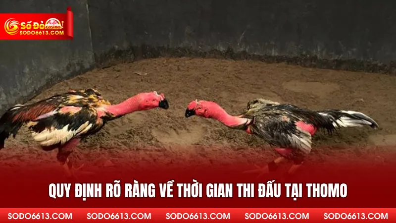 Quy định rõ ràng về thời gian thi đấu tại Thomo