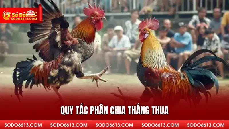 Quy tắc phân chia thắng thua