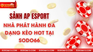 Sảnh AP Esport - Nhà Phát Hành Đa Dạng Kèo Hot Tại Sodo66