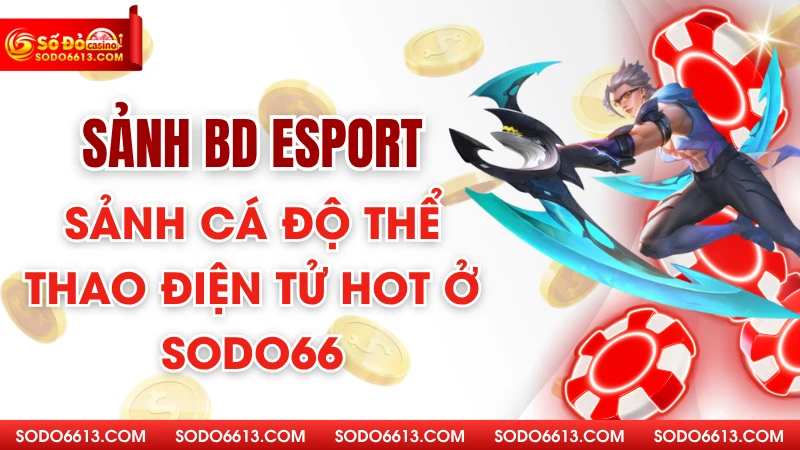 Sảnh BD Esport - Sảnh Cá Độ Thể Thao Điện Tử Hot Ở Sodo66