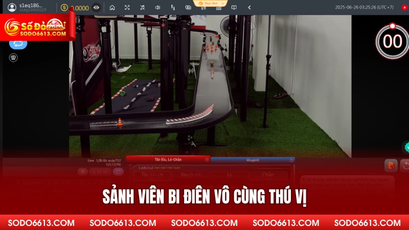 Sảnh viên bi điên vô cùng thú vị