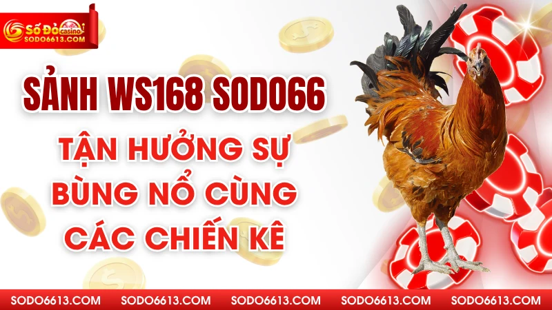 Sảnh WS168 Sodo66 – Tận Hưởng Sự Bùng Nổ Cùng Các Chiến Kê