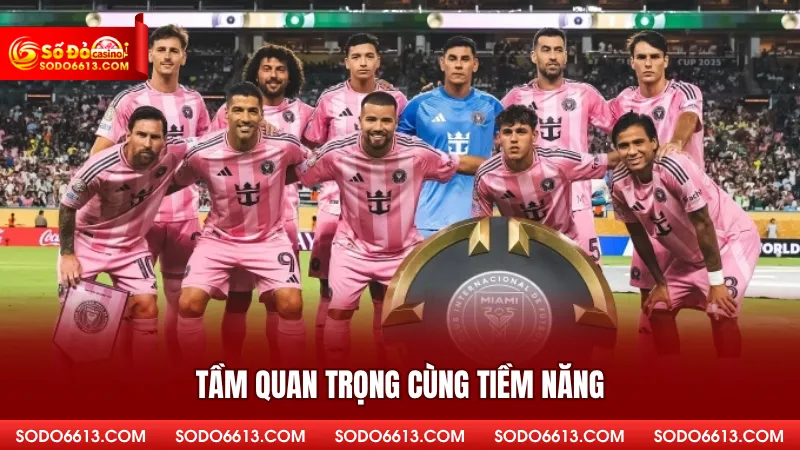 Tầm quan trọng cùng tiềm năng