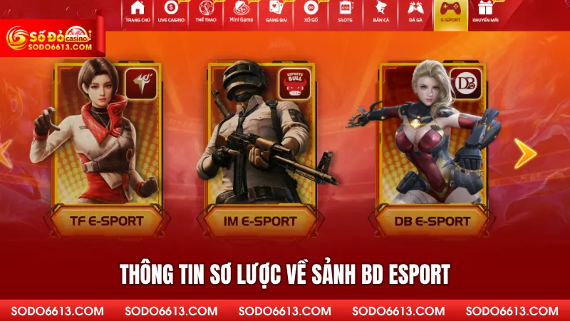 Thông tin sơ lược về sảnh BD Esport