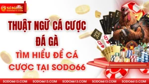 Thuật Ngữ Cược Đá Gà Sodo66 - Từ Điển Cá Cược Hữu Ích