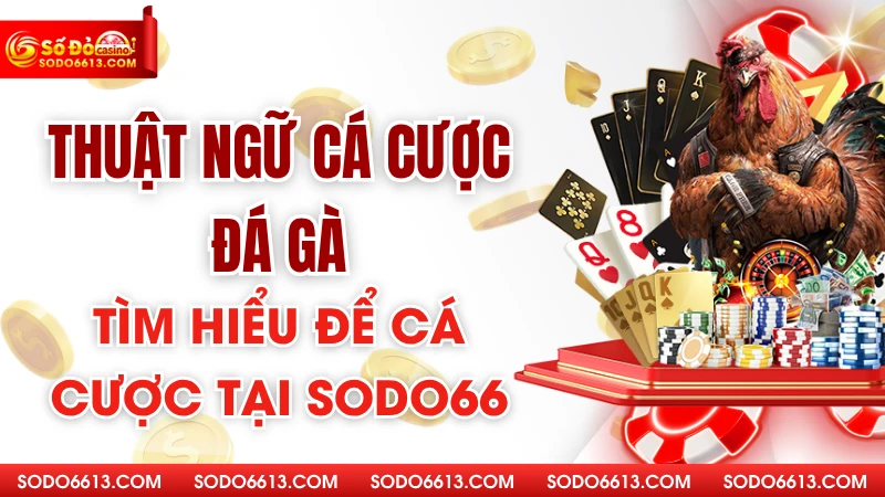 Thuật Ngữ Cược Đá Gà Sodo66 – Từ Điển Cá Cược Hữu Ích