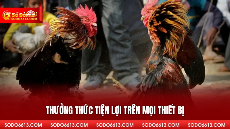 Thưởng thức tiện lợi trên mọi thiết bị