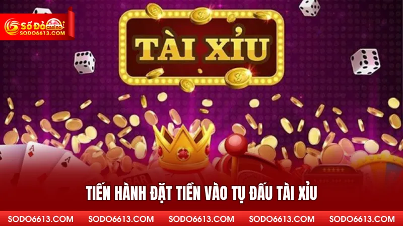 Tiến hành đặt tiền vào tụ đấu tài xỉu