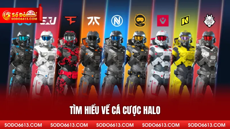 Tìm hiểu về cá cược Halo