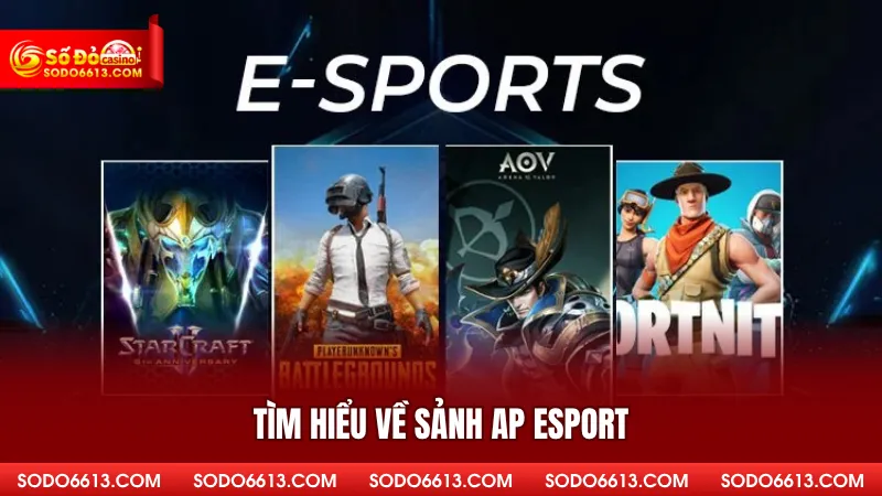 Tìm hiểu về sảnh AP Esport