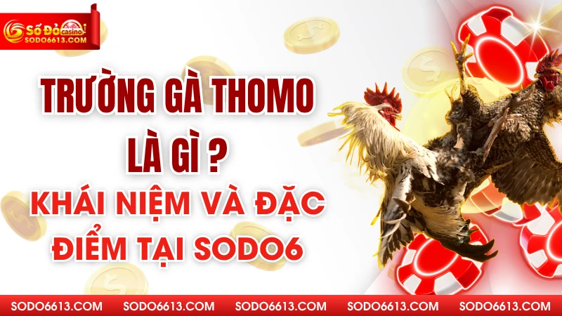 Trường Gà Thomo Là Gì – Khái Niệm Và Đặc Điểm Tại Sodo66