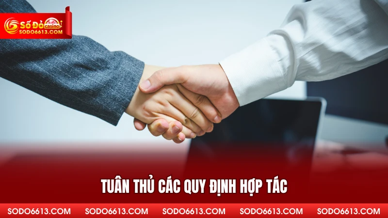 Tuân thủ các quy định hợp tác