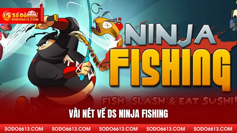 Vài nét về DS Ninja Fishing